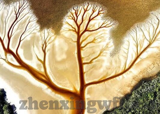 糖心视频官网在线看-深度体验糖心视频，探索多样在线影视新境界